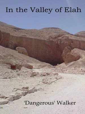 cover image of In the Valley of Elah
